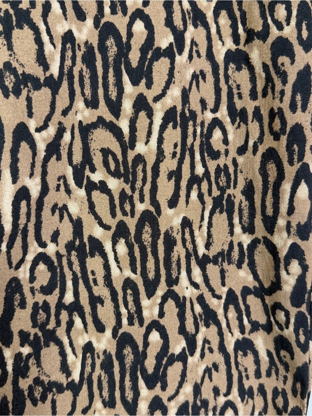 Krazy Larry Women’s Leopard Print Pull-On Ankle Pant Sz 12 Stretch Office Casual - Picture 7 of 7